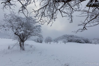 FXK PASS, Photographe à Montvernier