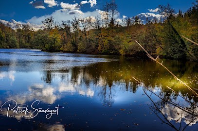 sauvageot patrick photographie, Photographe à Sainte-Menehould