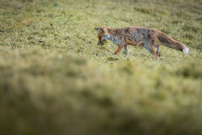 Florian Legrand - Photographe & Vidéaste Outdoor/événementiel, Photographe à Neuvecelle