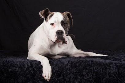 Fop Fleury Olivier Photographie, Photographe au Minihic-sur-Rance