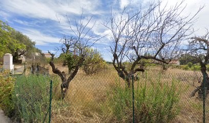 Alice Fillod -Photographer, Photographe à La Gaude