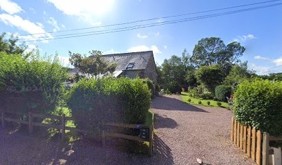 Pets Area Photo, Photographe à Paimpont