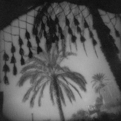 Flore - Photographe, Photographe à Paris 05