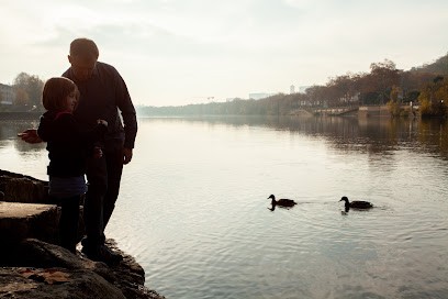 Audrey Chanonat Photographe, Photographe à Caluire-et-Cuire
