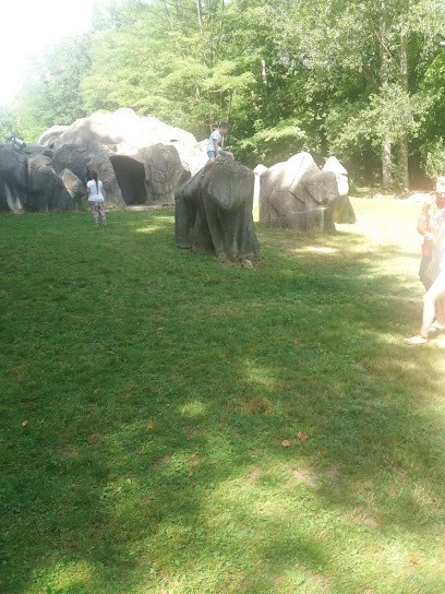 Ivan Olivier Photographies, Photographe à Surba