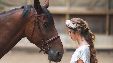 Jennyfer Rubio, Photographe au Mesnil-en-Thelle