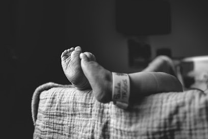 Fanny Dutouquet Photographe, Photographe à Venerque