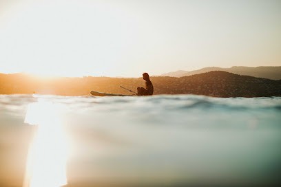 Caroline Liabot Photographe Webdesigner, Photographe à Réville