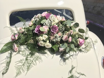 OBJECTIF BONHEUR, Photographe à Aix-en-Provence