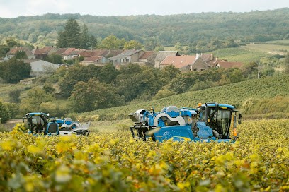Etienne Gatheron - Photographe, Photographe à Mâcon