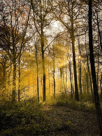 Creative Drone Reims, Développement de Photos à Berru