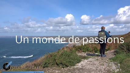 Ghislaine FEREC, Photographe à Locronan