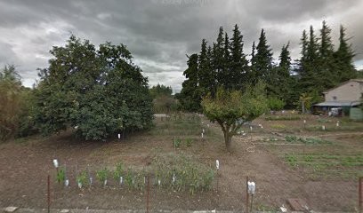 Harmonie Photo, Photographe à Vaison-la-Romaine