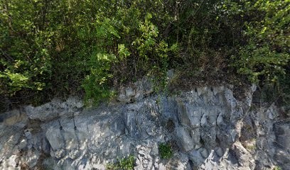 Jacques Pion, Photographe à Saint-Alban-Leysse