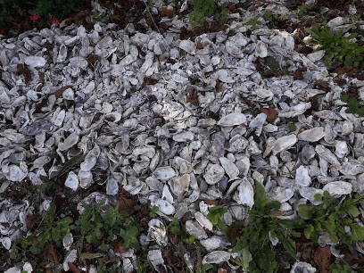 Ancre Digitale SARL, Développement de Photos à Cancale