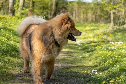 Alphotographie, Photographe à Vezin-le-Coquet