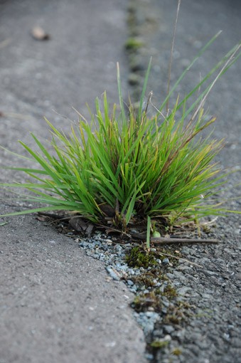 Fred Guinefoleau, Photographe à Nueil-les-Aubiers