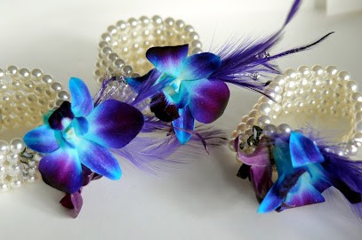 Nick Tynan Photography, Photographe à Saint Aulaye-Puymangou