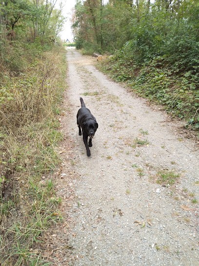 Céline Russo Photographie, Photographe à Bollwiller