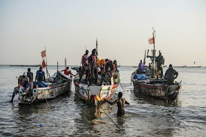 Marine Danaux Photographies, Photographe à Marseille 07
