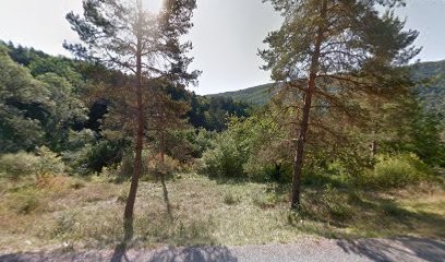 Flashes, Photographe à Saint-Pierre