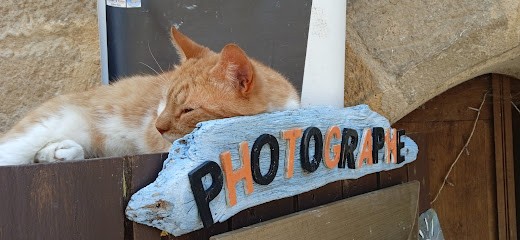 Hutin Jerome, Photographe à Terrasson-Lavilledieu
