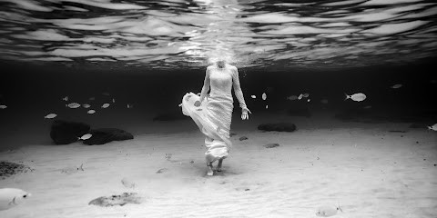 Pierre Gobled Photographe, Photographe à Rezé