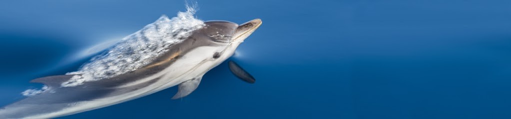 Mwanga Vagabonde, Photographe à Sanary-sur-Mer