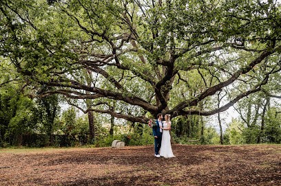 Pixel.len Photography By Ellen Teurlings, Photographe à Tourrettes-sur-Loup