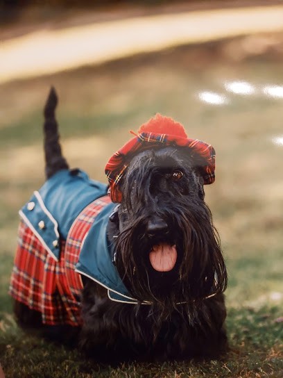 Christophe GADEA Photographe, Photographe à Guérigny