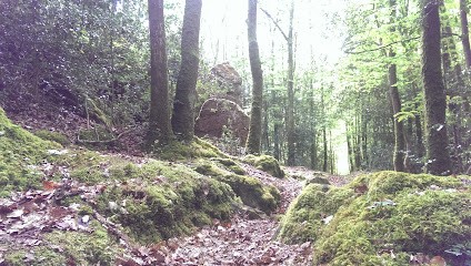 Wattier Hervé, Photographe à Ercé-près-Liffré