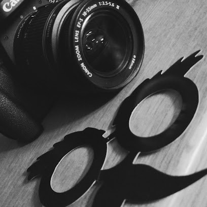 Ouest Photobooth - Location de Photobooth en Bretagne, Développement de Photos à Bonnemain