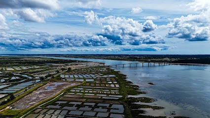 Daubresse Alison Photographe, Photographe au Château-d'Oléron