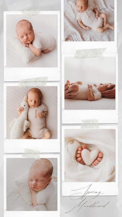 Celine Coussau Photographie, Photographe au Teich