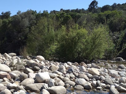Picalba, Photographe à Zonza