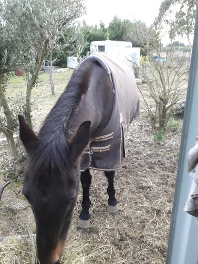 Manade Lou Pitchoun, Développement de Photos à Marsillargues
