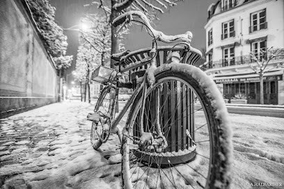 Photographe Alexandre Halbardier, Photographe à Fontainebleau