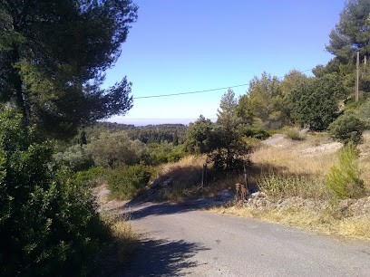 Demailly Serge, Photographe à Saint-Cyr-sur-Mer