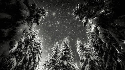 Franck CHARLES - Photographeauteur.com, Développement de Photos à Marlenheim