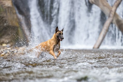 Céline Labatut Photographie, Photographe à Mireval