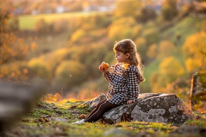 Sparadrap53, Photographe à Évron