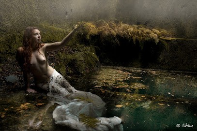 Ediluz, Photographe à La Vraie-Croix