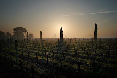 Aurélien Voldoire Photographe, Photographe à Libourne