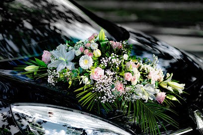 Thomas Vanderstraeten Photographe, Photographe à Flines-lez-Raches