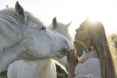 Marius Renaud, Photographe à Martigues