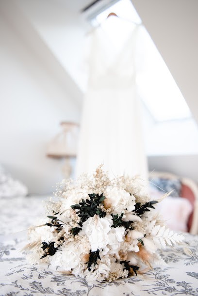 AnneSo Photographie, Photographe à Lannion