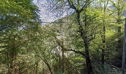 Fridomphoto, Photographe à Arthez-d'Asson