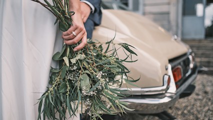 Devendeville Photo, Artisan Photographe, Photographe à Agen