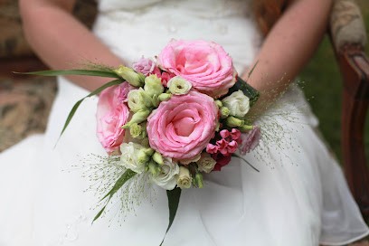 Lalicile Photographe, Photographe à Puchay