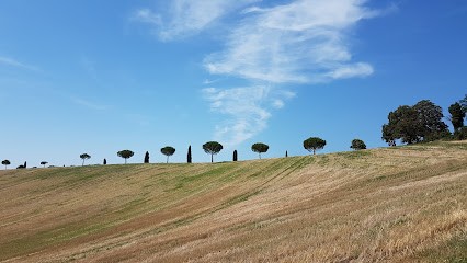 Haya Pierre, Développement de Photos à Lisle-sur-Tarn